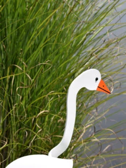 Florida Dancing Birds®, Snow Goose