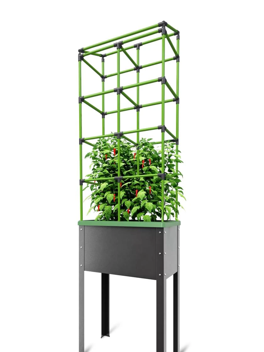 City Jungle® Tomato Trellis Extension Kit - Image 2