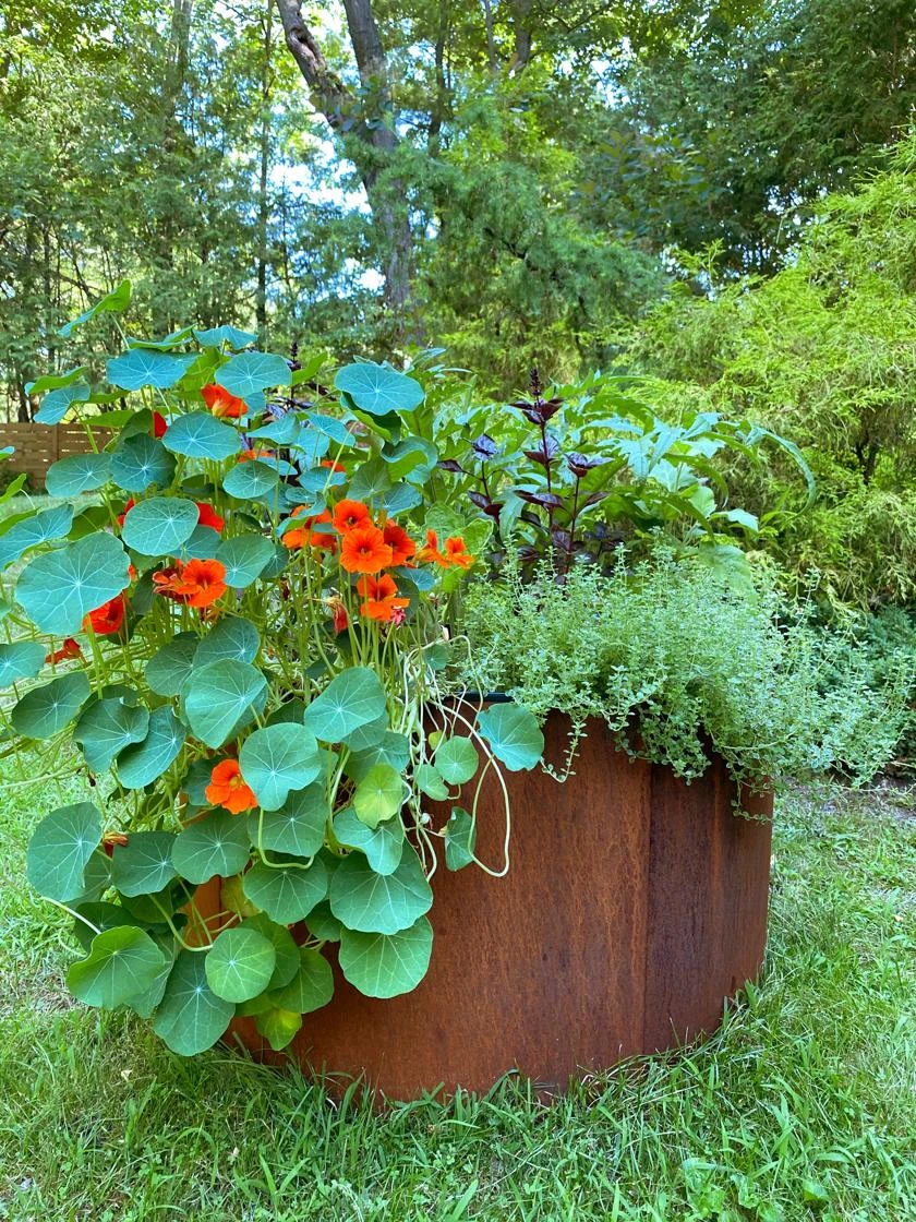 Birdies™ Corten Steel Round Raised Beds - Image 2