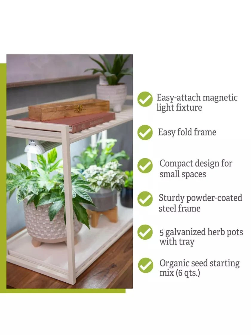 Tabletop Grow Kit - Image 7