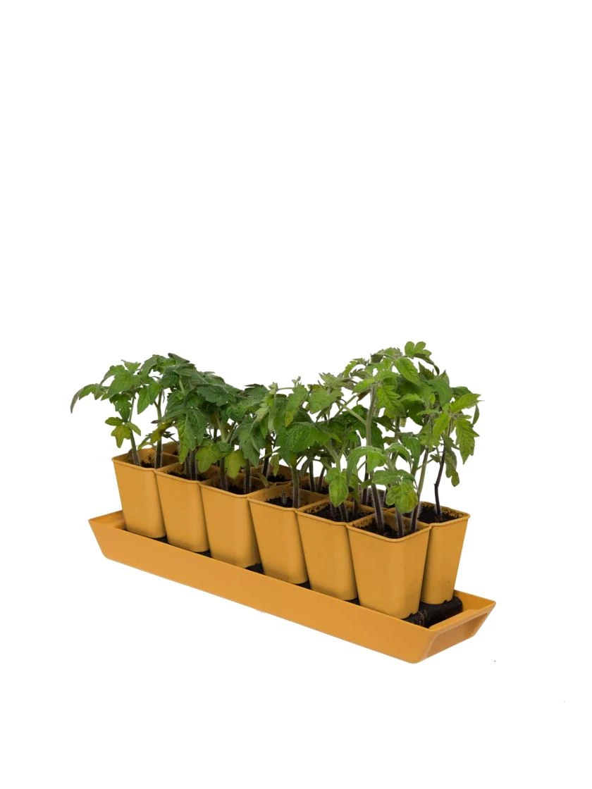 Gardener's Best® XL Seed Starting Kit - Image 4