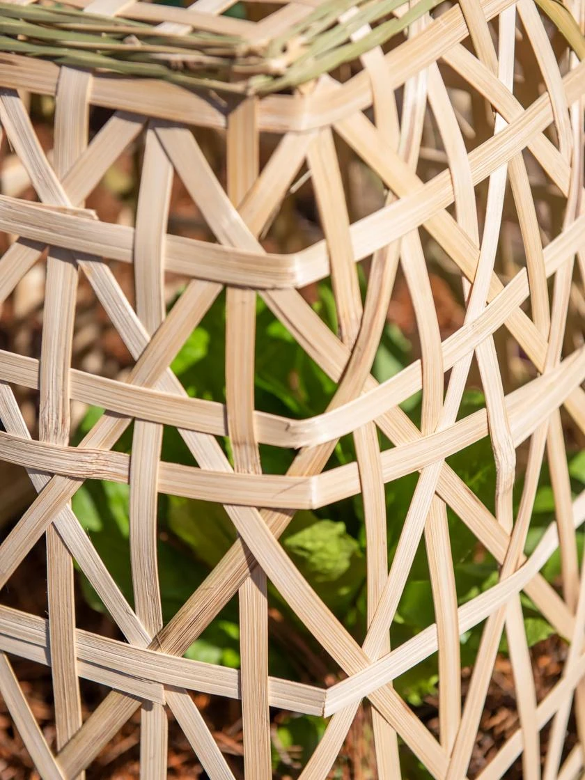 Bamboo Cloche, Set Of 2 - Image 8