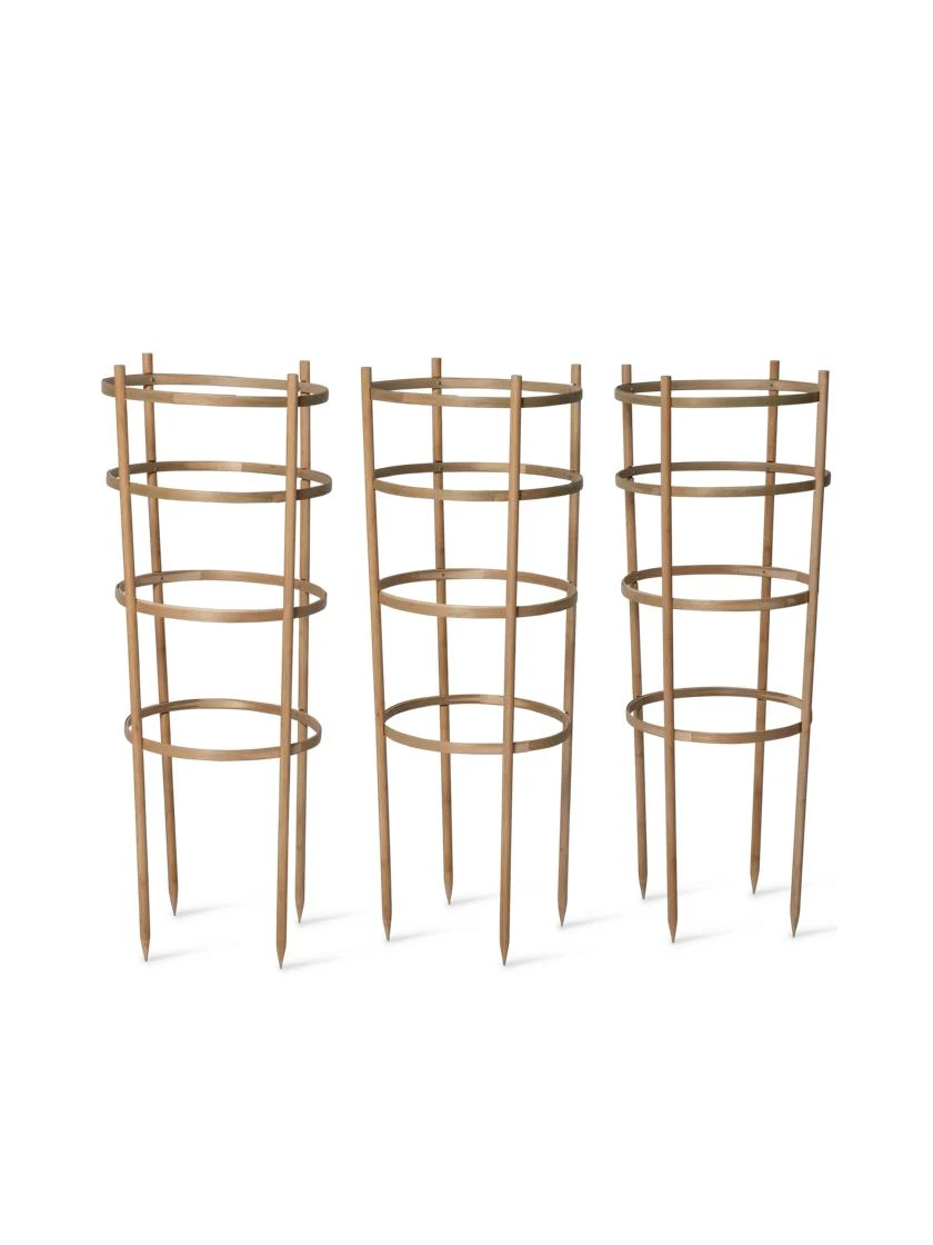 Bamboo Tomato Cages, Set Of 3 - Image 7