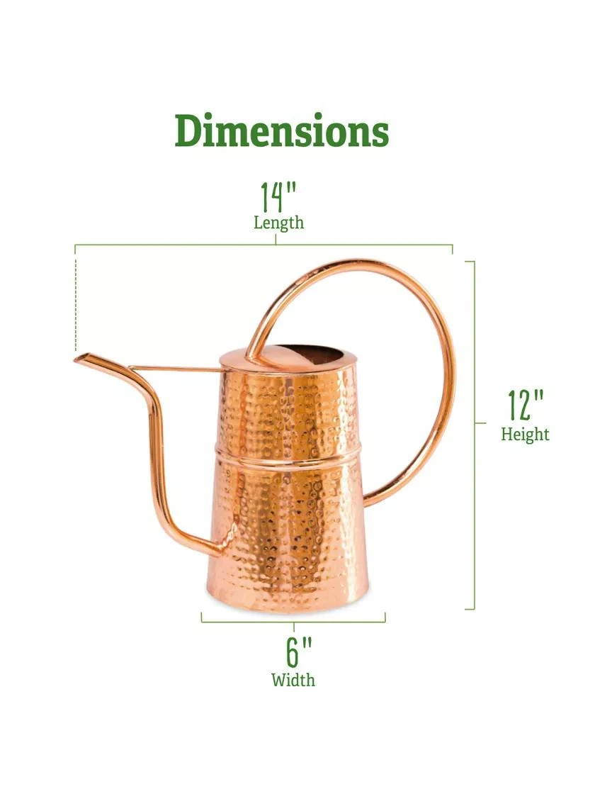 Copper Indoor Watering Can - Image 3
