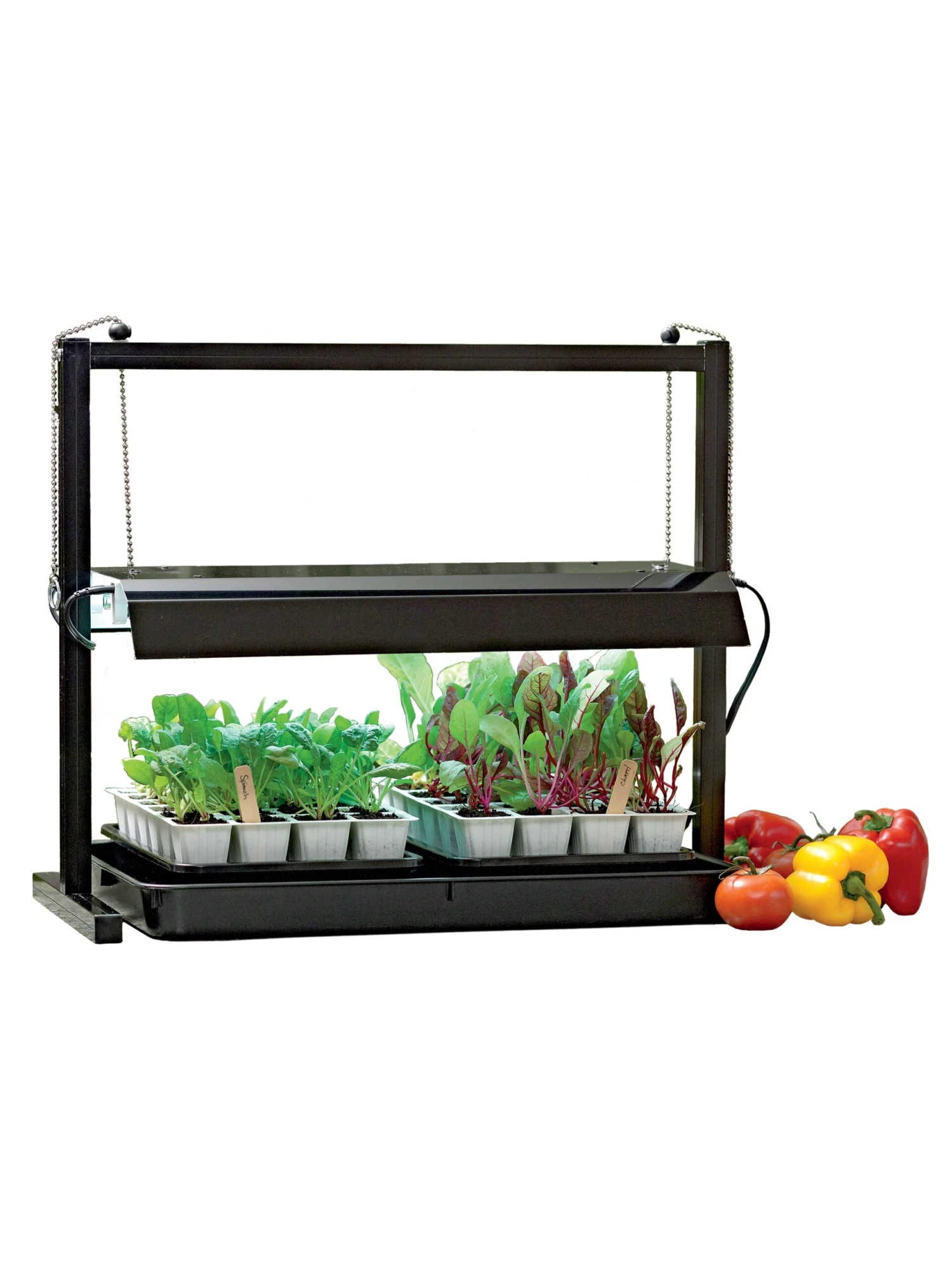 GrowLab® Compact Tabletop Light Garden With Classroom Guide - Image 3